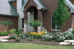 lawn and walkway outside of a stone house