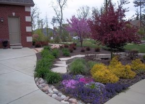 landscaping project with colorful flowers and bushes