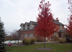 Outdoor design