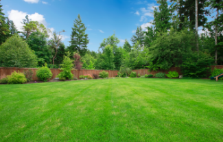 Large green lawn with wood fence, and large trees surrounding